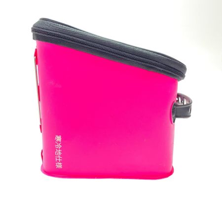  VARIVAS バリバス 魚探ケース 公魚工房 程度B