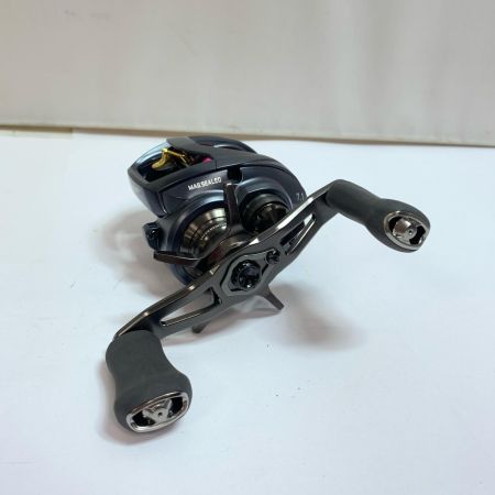  DAIWA ダイワ 23スティーズ A2 TW 1000HL　ベイトリール 00613385