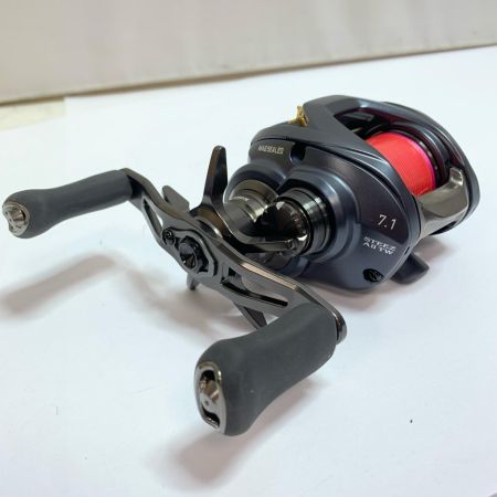  DAIWA ダイワ 23スティーズ A2 TW 1000HL　ベイトリール 00613385