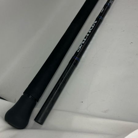 DAIWA ダイワ オフショアロッド DAIWA ダイワ ソルティガ 01480176  C81XHS・J PE#:5-8 01480176