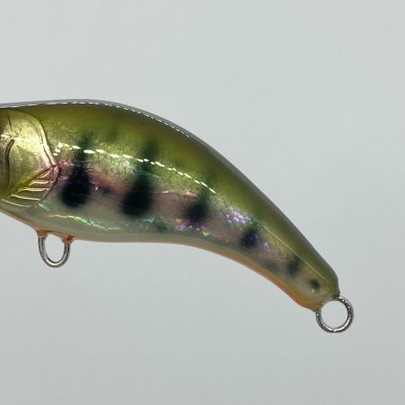  麗's ミノー シェル ヤマメOB 鮑