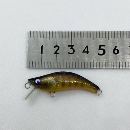  麗's ミノー シェル イワナ 鮑