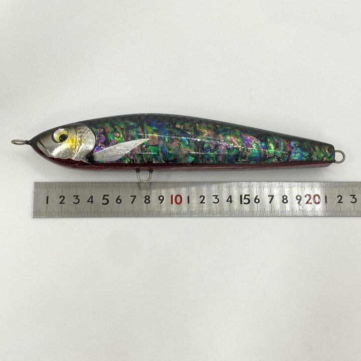 HIROPEN ヒラマサ 黒アワビ 210mm ポッパー 程度B - 中古その他