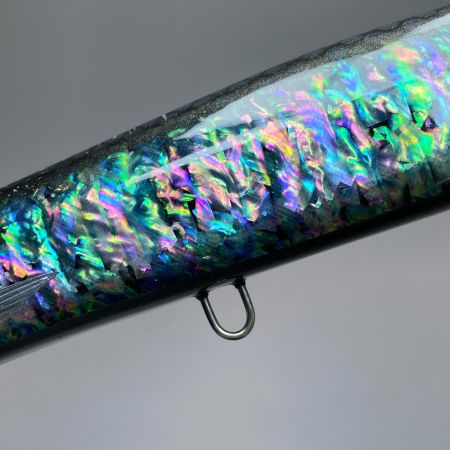  HIROPEN モンスター 300F-D 黒アワビ 300mm ポッパー 程度B