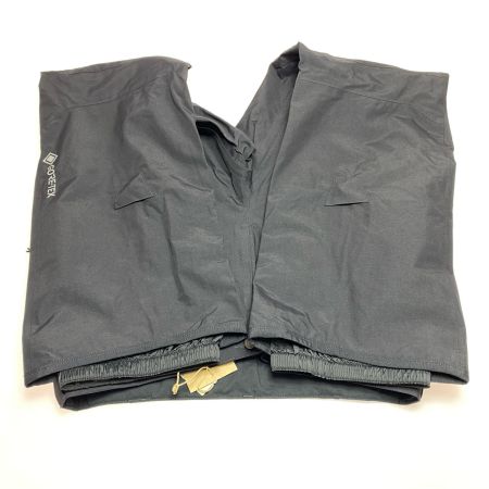  BURTON バートン スノーボードウェア(パンツ) SIZE L 未使用品(S) AK CYCLC ブラック