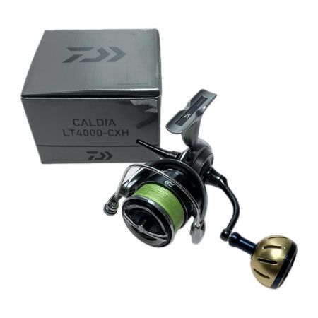  DAIWA ダイワ 25カルディア LT4000-CXH 00060412 スピニングリール 程度B 純正ハンドルノブ付