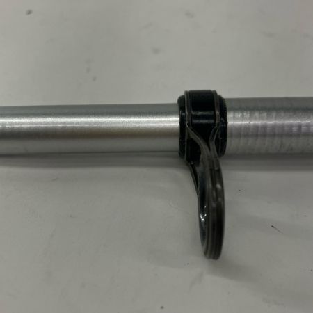 DAIWA ダイワ 磯竿 DAIWA ダイワ 06527895 波濤 イソエントウ 5-53遠投 5.3m 06527895