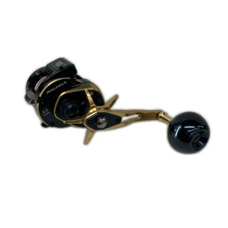 DAIWA ダイワ リール 両軸リール  21ソルティガIC 300-DH 00631546(034701)
