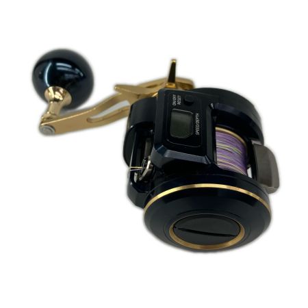 DAIWA ダイワ リール 両軸リール  21ソルティガIC 300-DH 00631546(034701)