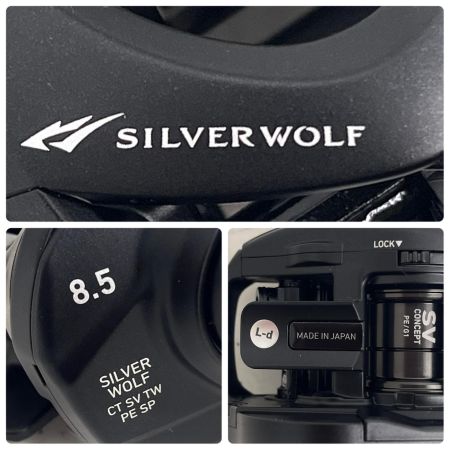  DAIWA ダイワ ベイトリール 26 シルバーウルフCTSVTW8.5RPEスペシャル リールケース・外箱付 00631610