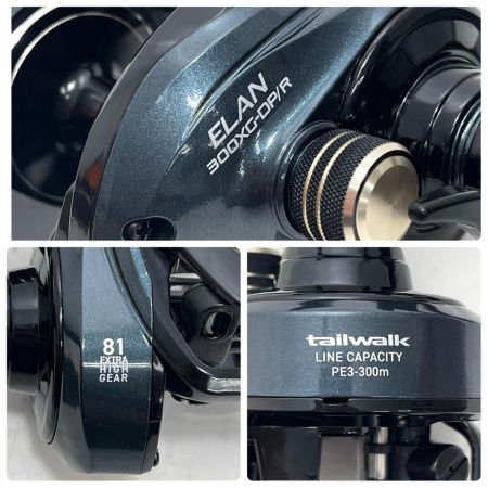 tailwalk テイルウォーク ベイトリール エラン ワイドパワー BM 300XG-DP/R 本体のみ