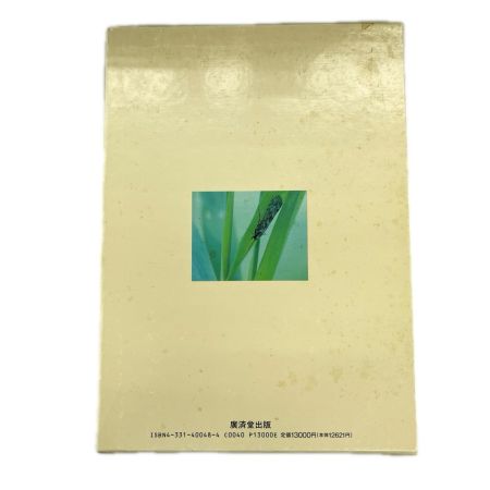 CADDIS トビケラとフライフィッシング 谷田一三 / 田代兄弟 共著 廣済堂出版