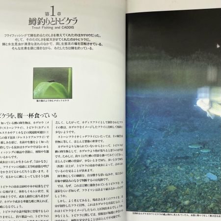 CADDIS トビケラとフライフィッシング 谷田一三 / 田代兄弟 共著 廣済堂出版