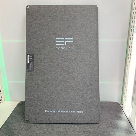 ДД ECOFLOW ポータブル電源　ケース、ソーラーパネル（EFSOLAR160W)付属 RIVER Plus ホワイト