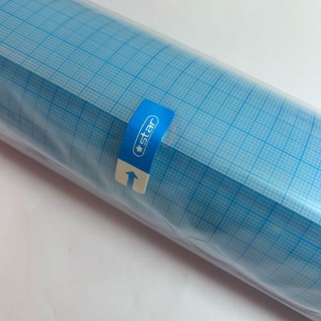   スターデージーセクション　660×10ｍ RD691B