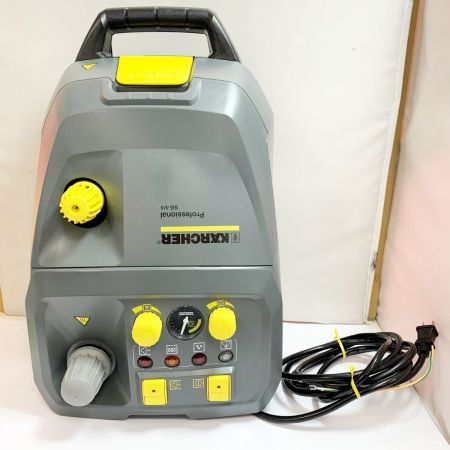  竹村製作所 スチームクリーナー兼用解凍器　ケルヒャー提携商品　 水道管凍結 解氷器　 KSG44 グレー