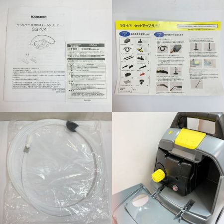  竹村製作所 スチームクリーナー兼用解凍器　ケルヒャー提携商品　 水道管凍結 解氷器　 KSG44 グレー