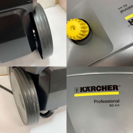  竹村製作所 スチームクリーナー兼用解凍器　ケルヒャー提携商品　 水道管凍結 解氷器　 KSG44 グレー