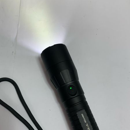  GENTOS T-REXシリーズ フラッシュライト  本体のみ　点灯確認済 TX-3000R