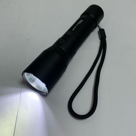  GENTOS T-REXシリーズ フラッシュライト  本体のみ　点灯確認済 TX-3000R