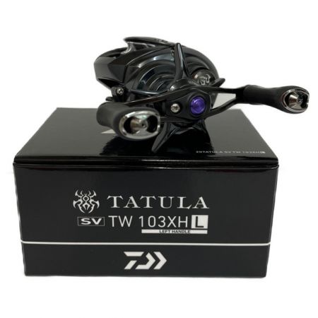  DAIWA ダイワ  20 TATULA SV TW 103XHL ベイトリール 00630092