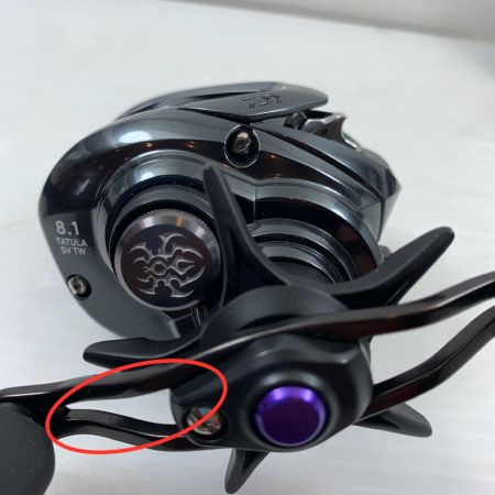 DAIWA ダイワ 20TATULA TW103XH ベイトリール TW103XH