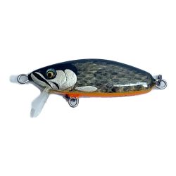 ★★ イクシュス ドウター45S　ミノー マムシ本革 ﾄﾞｳﾀｰ45S Bランク