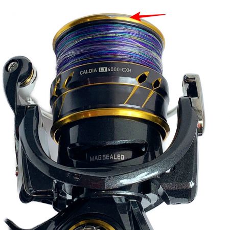  DAIWA ダイワ 21カルディアLT 4000-CXH/ゴメクサスノブ 3063220