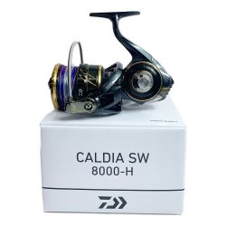 ★★ DAIWA ダイワ 22カルディアSW8000H　スピンニングリール 0065053 Aランク