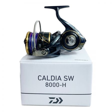  DAIWA ダイワ 22カルディアSW8000H　スピンニングリール 0065053