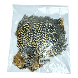 ★★ ジャングルコック フライハックル　ジャングル・クック　＃1・グレード・ネック　 Aランク