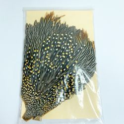 ★★ ジャングルコック フライハックル　ジャングルコック　15×22cm Aランク