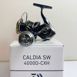 ★★ DAIWA ダイワ CALDIA SW　4000D-CXH　スピニングリール　ULCUSノブ付き ハンドルノブキズ有 220661 Cランク