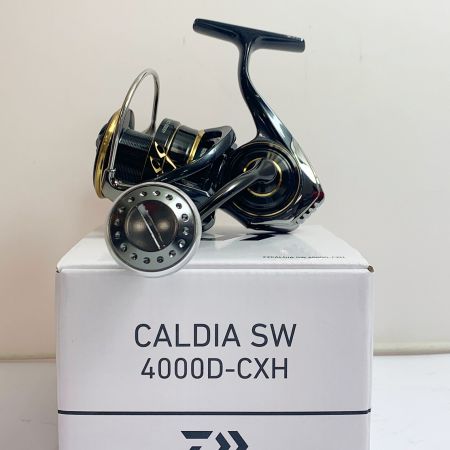  DAIWA ダイワ CALDIA SW　4000D-CXH　スピニングリール　ULCUSノブ付き ハンドルノブキズ有 220661