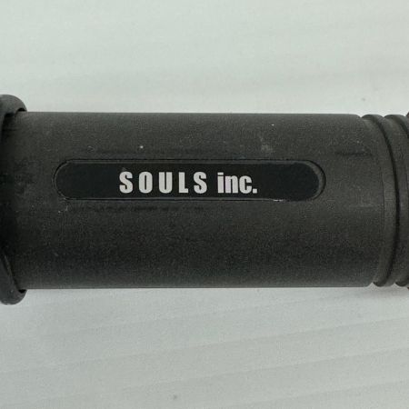 SOULS ソウルズ ルアーロッド 竿袋付 釣り フィッシング PS-075LN8S