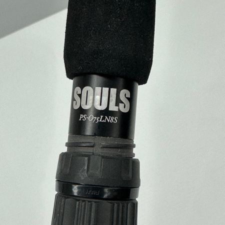 SOULS ソウルズ ルアーロッド 竿袋付 釣り フィッシング PS-075LN8S