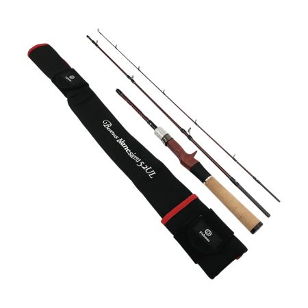  Fishman フィッシュマン Beams blancsierra ビームス ブランシエラ 5.2UL