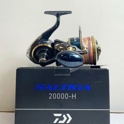 ★★ DAIWA ダイワ  20 ソルティガ 20000-H　スピニングリール　替えスプール、ポーチ、箱付 309516 Bランク