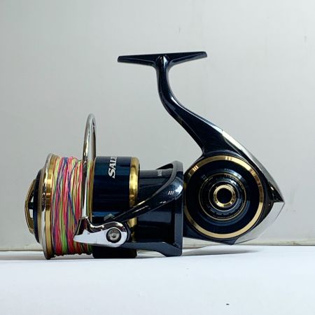 DAIWA ダイワ  20 ソルティガ 20000-H　スピニングリール　替えスプール、ポーチ、箱付 309516