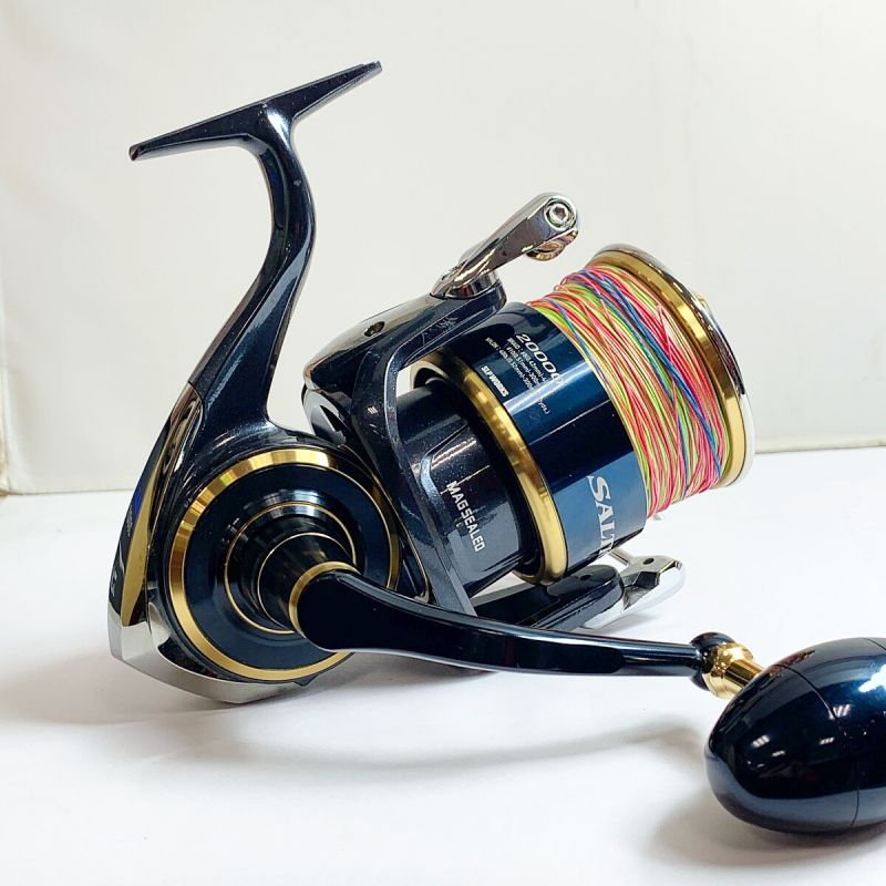 中古】 DAIWA ダイワ 20 ソルティガ 20000-H スピニングリール 替え ...