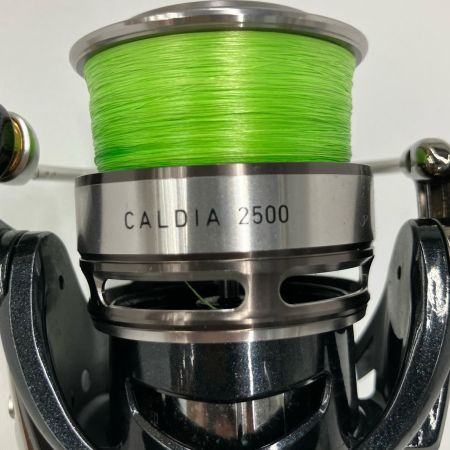  DAIWA ダイワ スピニングリール 14カルディア 2500  056162