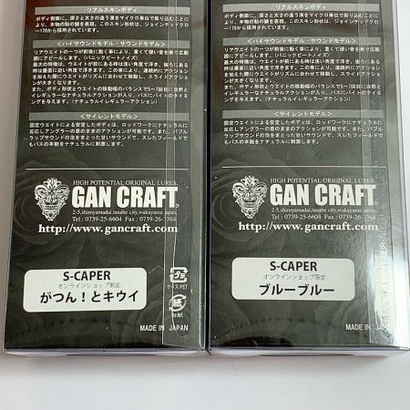  GAN CRAFT ガンクラフト オンラインショップ限定　　Ｓ-ＣＡＯＥＲ　2個まとめ ｴｽｹｲﾊﾟｰ ブルーブルー x がつん！とキウイ