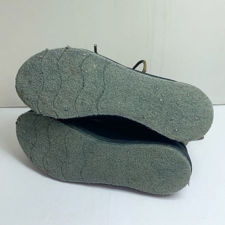  DAIWA ダイワ ウェーディングシューズ 25.0cm  WS-2501C ブラウン