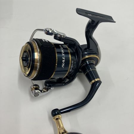 DAIWA ダイワ 20 ソルティガ 8000-H 00065002