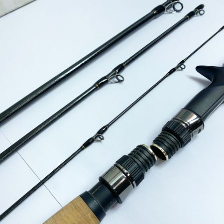  MonsterKiss ルアーロッド　ディアモンスター MX-6 セミハードケース付　