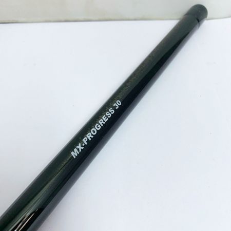  MonsterKiss エクステンショス MX-PROGRESS30