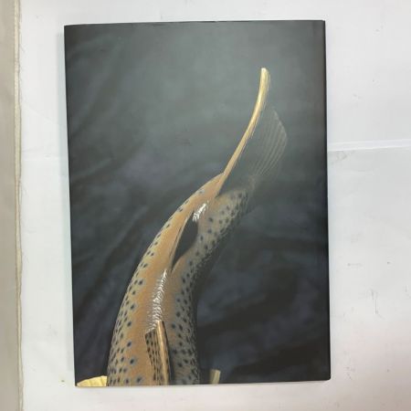   釣り用品 雑誌 彫魚 永井文雄　Carved Fish