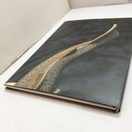   釣り用品 雑誌 彫魚 永井文雄　Carved Fish