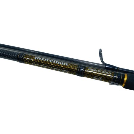 DAIWA ダイワ ロッド シーバスロッド　 モアザン ブランジーノ AGS1010ML/M 程度A  01480203