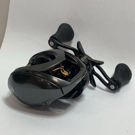  DAIWA ダイワ STEEZ CT SV TW700XHL べイトリール　純正ハンドルあり 00613535